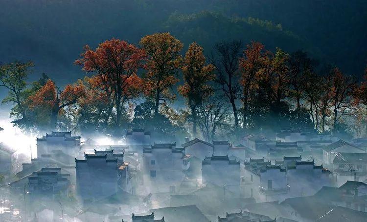 “衡有味·衡阳2024年货节暨消费促进年活动”启幕