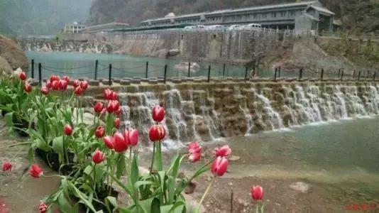 TVB御用学生妹富士山下浸浴!22岁小花超性感令网民窒息