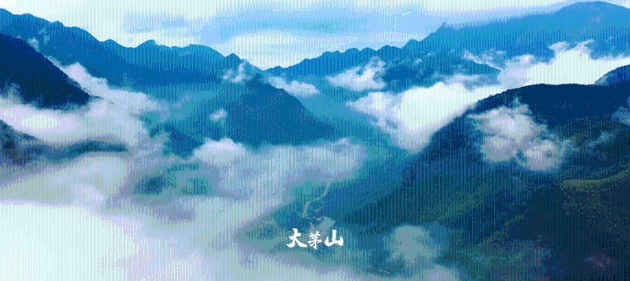 功能陶瓷和结构陶瓷的区别是什么