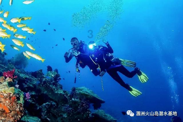 逗小猴开心系列198