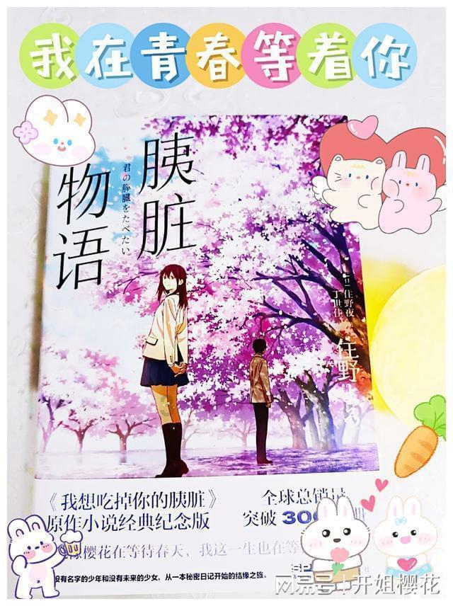森迪公主快乐的一天