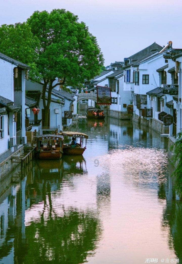 梁冬对话林大栋01:伤寒怎么学