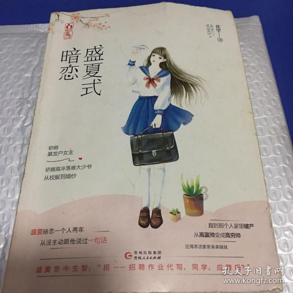 贝儿公主的晚礼服