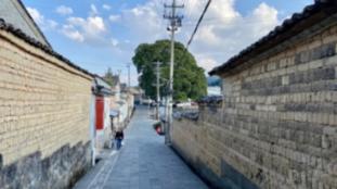 全战：幕府将军2